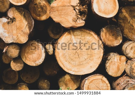 Stack of logs. natural wooden background with timber. log wall. pile of timber Royalty-Free Stock Photo #1499931884