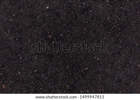 Gray earth mixed with small and large stones unsuitable for cultivation