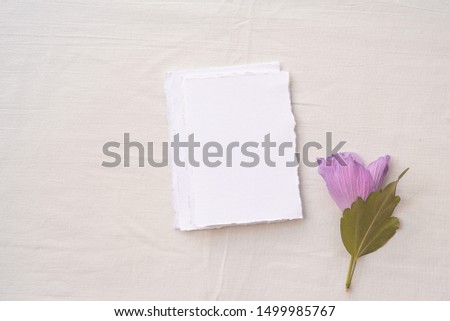 Minimalistic wedding composition with cards mock up, flowers on white background. Flat lay, top view stylish art concept.