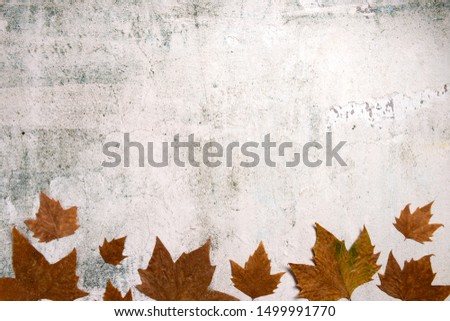 Pattern made of red and yellow fall leaves on concrete background, autumn concept. Flat lay, top view