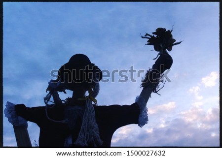 Silhouette of a scarecrow against evening sky with clouds for halloween                                                       