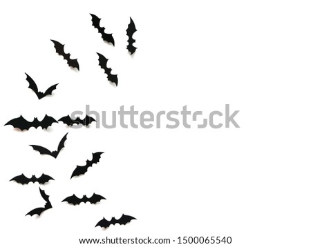 Flying black bats over white background, Halloween decoration concept. 