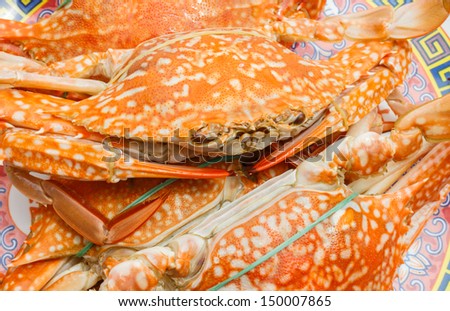 Hot Steamed Crabs