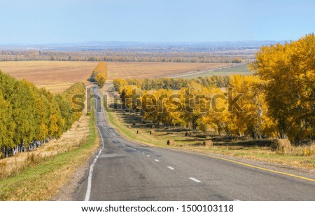 Autumn view, road among forests and fields
