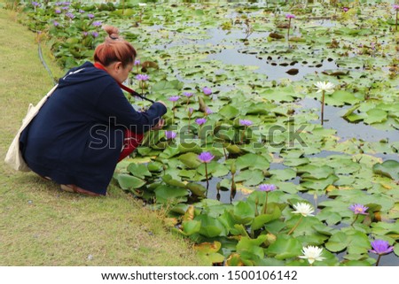 A portrait of an Asian woman taking a picture of a lotus flower in a pond