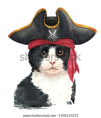 Watercolor painted cat. Watercolor hand drawn illustration. Watercolor cat pirate hat layer path, clipping path isolated on white background.