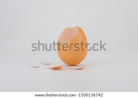 The broken and cracked brown egg 