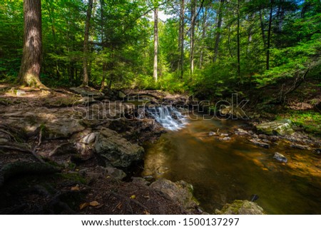 Long Exposure Photos of Waterfalls at  State Park, Pennsylvania. 