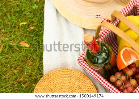 A bottle of red wine with glasses and fruit on a green meadow. Picnic and relaxation on nature. Sunny and bright mood.