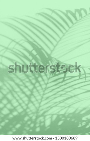 Summer travel concept. Shadow of exotic palm leaves is laying on trendy mint color background. Banner with copy space.