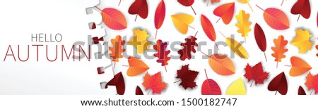 Hello autumn banner or long header for website, newsletter, advertisement. Red and orange tree leaves on white background covered by torn out sheet of notepad paper. Vector illustration.