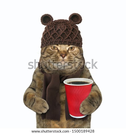 The cat in woolly hat and scarf is holding a paper cup of black coffee. White background. Isolated.