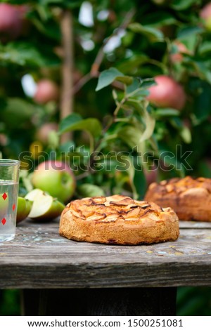 Apple pies on an old wooden table under an apple tree in a village. Bright sunny day and tasty homemade dessert with compote.