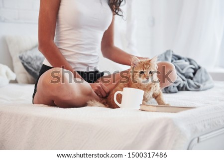 Cup, book and nice cat. Attractive blonde resting on the white bed with her cute kitten.