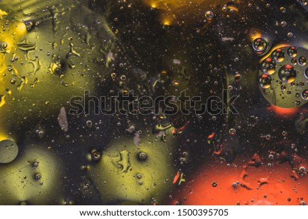 space of variations. multicolored 
charming abstraction. a few drops of oil on the water. backlit background. macro photography