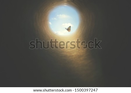 colorful butterfly finds its way out of a dark tunnel, concept of freedom Royalty-Free Stock Photo #1500397247