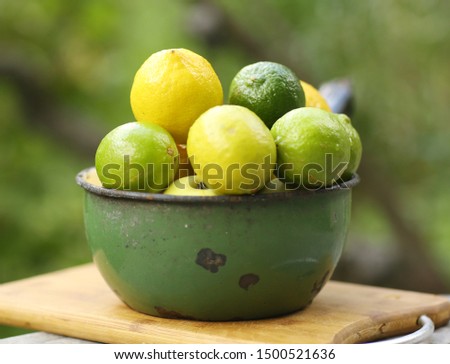 lime and lemon mixture in bowl on green summer plants garden background close up photo