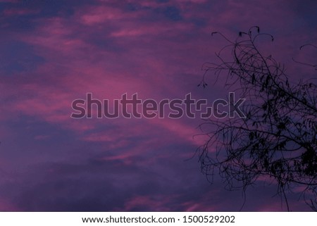 Beautiful picture of the sky near the dawn