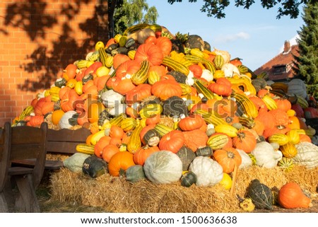 Autumnal decoration with pumpkins and straw. Lower Saxony, Germany