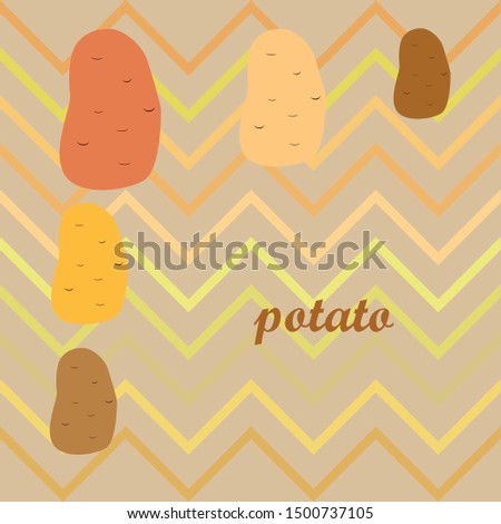 Potato. Fresh vegetables. Organic food poster. Farmer market design. Vector background