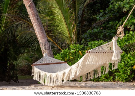 Hammock on the Beach, Felicite, Seychelles Royalty-Free Stock Photo #1500830708