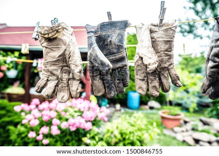 Old leather working gloves in the garden