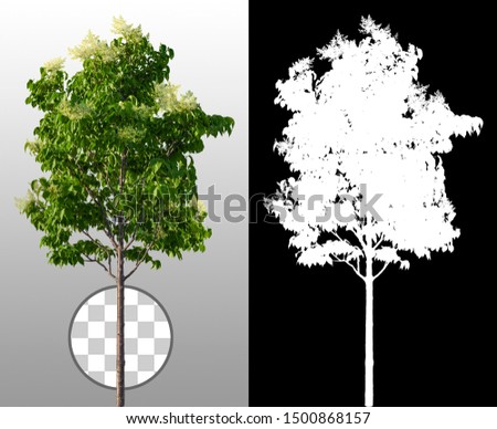 Cut out lilac tree isolated on transparent background via an alpha channel of great precision. High quality mask without unwanted edge. High resolution for professional composition.