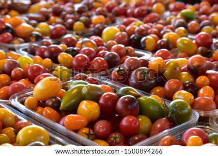 Picture of fresh organic cherry tomatoes for sale on a morning market.