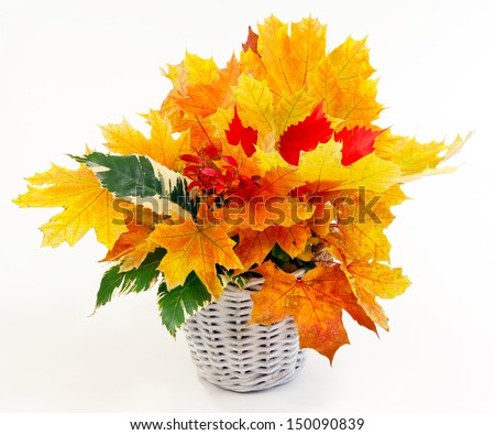 Autumn bouquet