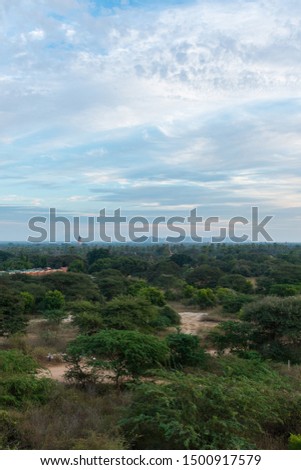 Vertical picture of beautiful view of local vegetation in the archeological park of Bagan, Myanmar