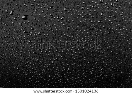 Water droplets on black background Royalty-Free Stock Photo #1501024136