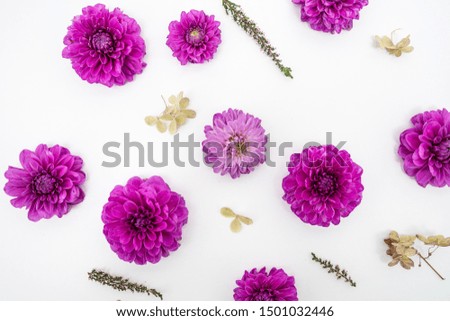 Purple Dahlia floral flat lay feminine background
