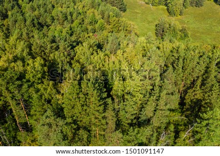 Summer landscape, mountain and forest view, aerial shot