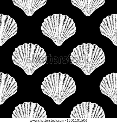 Seamless pattern with sea shells. Isolated objects. Hand drawn vector illustration realistic sketch