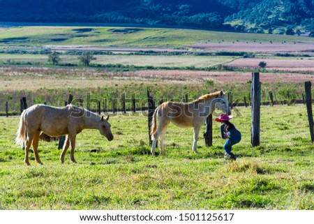 The girl bends down to take a picture of the horse.