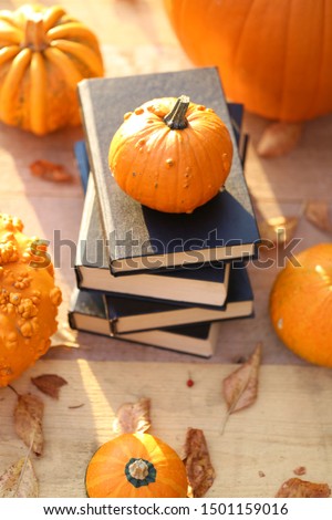 Autumn books. Halloween books. Stack of books with black cover and pumpkins set on a wooden table on a  background in bright sunshine.Cozy autumn mood.