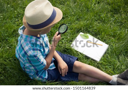 A boy holding a magnifier and studying outside. The concept of homeschooling, 
search and discovery, science and knowledge in biology and botany, nature research.  A child of Asian appearance. Image. Royalty-Free Stock Photo #1501164839