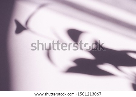 Tree leaves shadow on wall background, Abstract Background Cement Wall Shadow Light Concept, shadow effects
