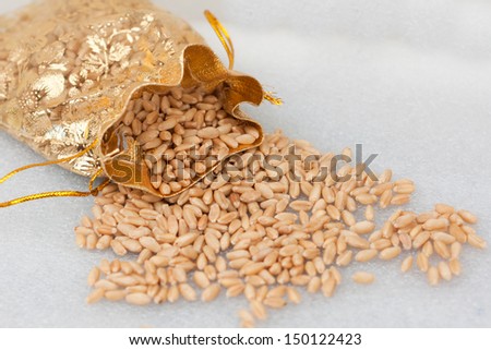 Raw whole wheat grains in golden sack. fiber rich whole wheat.India. Kerala India. North Indian food chapati or roti or naan made of wheat grain diwali dasara harvest