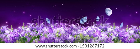 Fantastical fantasy background of magical purple dark night sky with shining stars, moon, bluebells campanula flowers garden and flying blue butterflies. Photo of moon is taken by me with my camera.