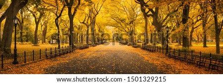 Central Park in autumn, New York City, USA 