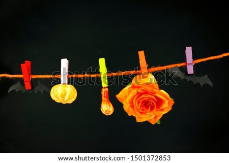 Rose is hanging on clothespins with decorative bats and pumpkins on a black background. Halloween concept background. Space for text.