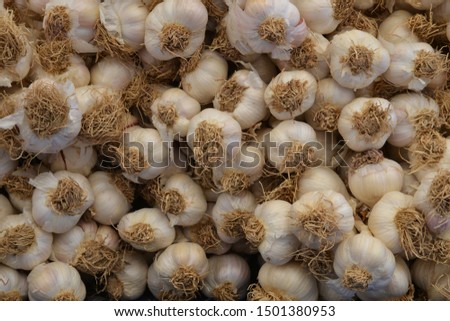 organic garlic in the market
