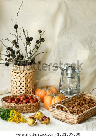 An autumn picture with chestnuts and acorns