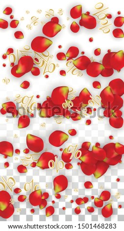 Vector Spring or Summer Sale Background with Flowers and Percent for  Banner Design. Good for Special Hot Holiday Discount Offer, Black Friday, Fashion Promotion Action. Romantic Rose Illustration.