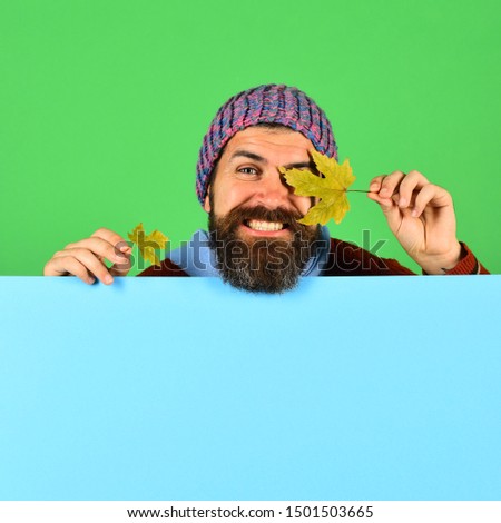Autumn and cold weather concept. Man in hat holds green maple tree leaves on green and cyan background, copy space. Hipster with beard and smile closes eyes with leaf. October and November time idea