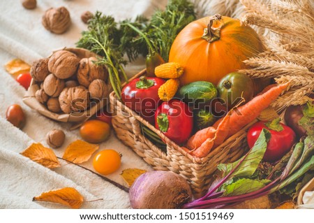 Happy Thanksgiving. Harvest, Autumn. Still life with Thanksgiving concept. Panoramic collection of fresh healthy fruits and vegetables. 
