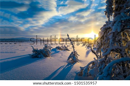 Sunset winter snow nature horizon landscape
