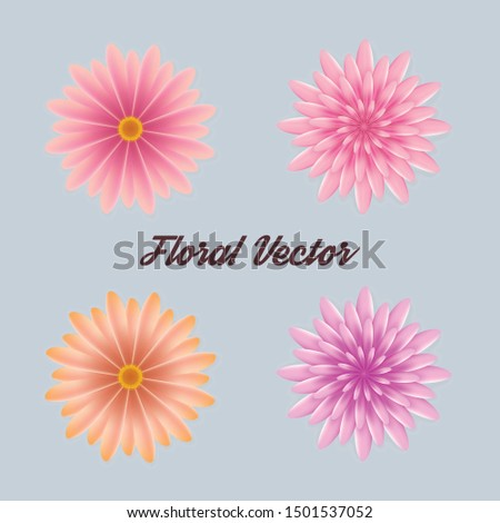 Floral set vectors, a set of flowers vectors, floral illustrations