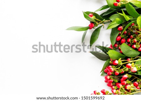 Green leaves and red berries frame on white background top view copyspace